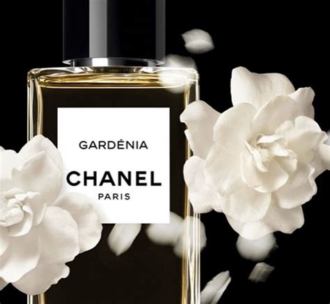 chanel gardenia sephora|chanel gardenia perfume prices.